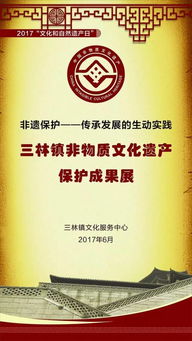 三林非遺保護(hù) 傳承與發(fā)展的生動實(shí)踐